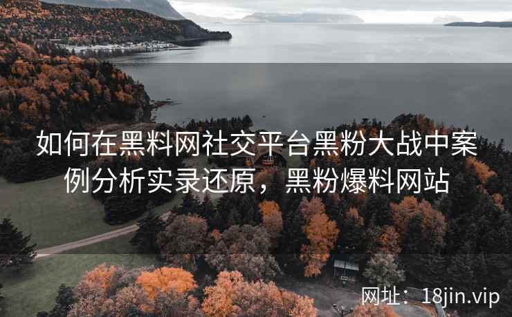 如何在黑料网社交平台黑粉大战中案例分析实录还原，黑粉爆料网站
