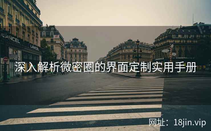 深入解析微密圈的界面定制实用手册