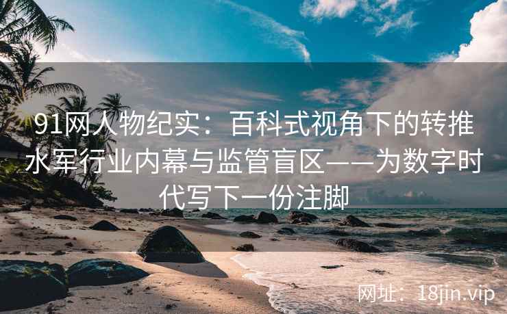 91网人物纪实：百科式视角下的转推水军行业内幕与监管盲区——为数字时代写下一份注脚