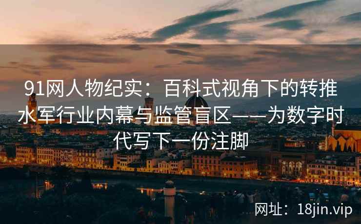 91网人物纪实：百科式视角下的转推水军行业内幕与监管盲区——为数字时代写下一份注脚