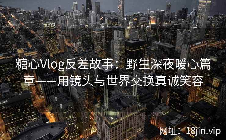 糖心Vlog反差故事：野生深夜暖心篇章——用镜头与世界交换真诚笑容