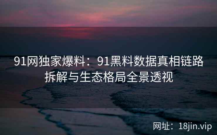91网独家爆料：91黑料数据真相链路拆解与生态格局全景透视