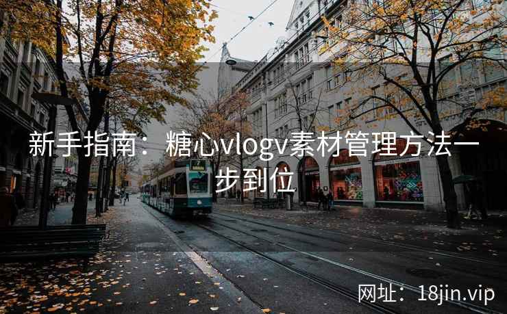 新手指南：糖心vlogv素材管理方法一步到位