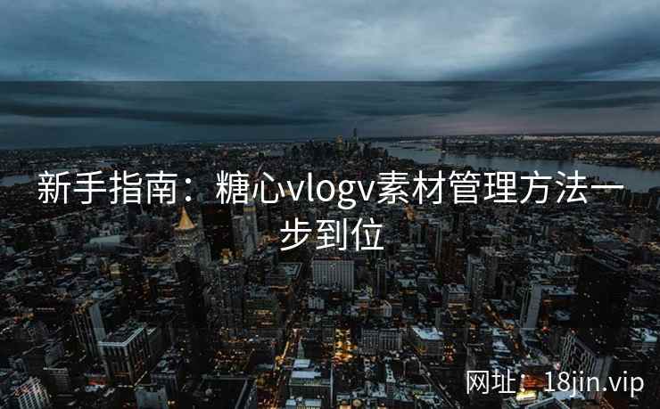 新手指南：糖心vlogv素材管理方法一步到位